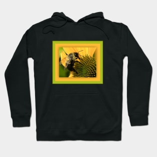 Bumble Bee on Yellow Flower Hoodie